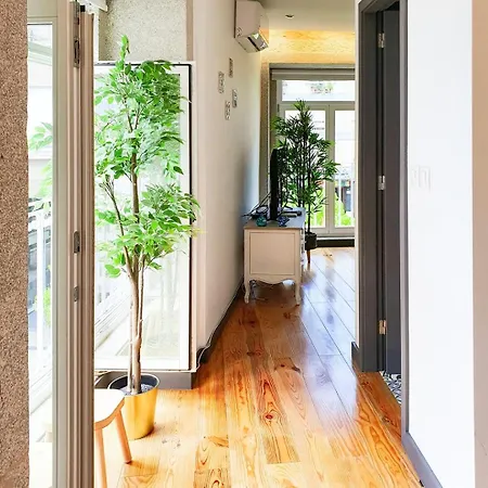 Historic House In A Lovely Square At Center Apartment